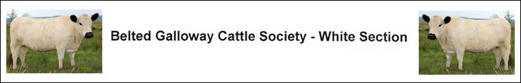 The Galloway Cattle Society