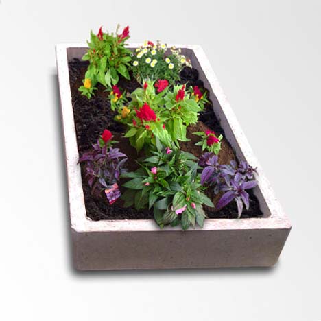 Large Planting Tray