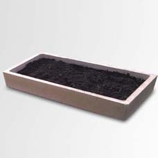 Large Planting Tray