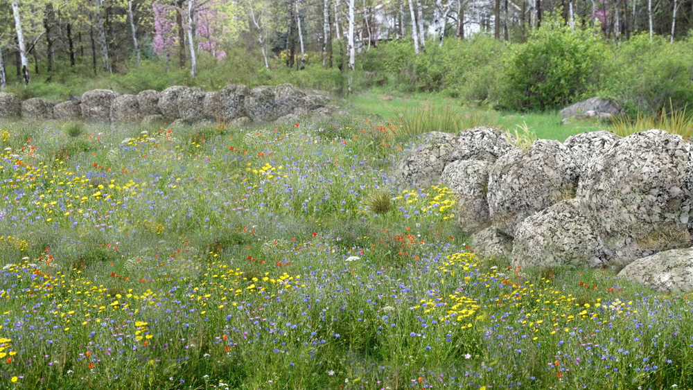 Example visuals of Landscape Orbs used for bank stabilisation